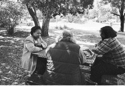 Social worker Eva Ahmed with two homeless men, sitting at a picnic table, under a tree in a park.