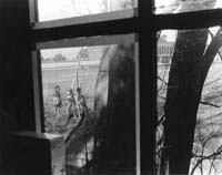 window